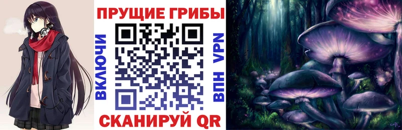 Псилоцибиновые грибы Psilocybine cubensis  Купить  Красавино 