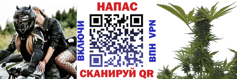 Шишки марихуана план  Купить где  Красавино 
